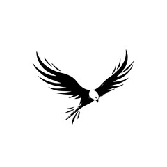 Obraz premium Buzzard. Buzzard simple black and white line art vector logo