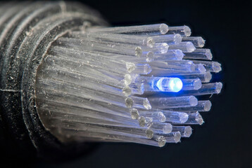 Extreme macro close-up of fiber optic cable ends with blue data light transmission