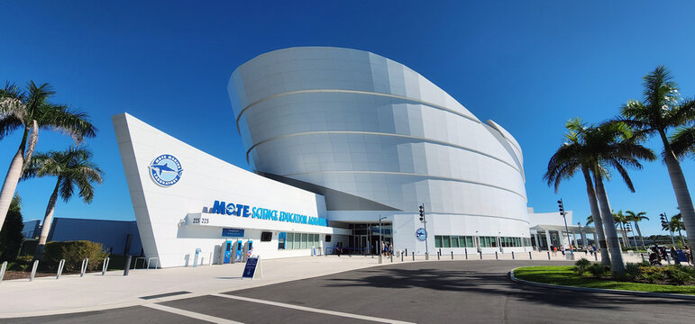 Mote Science Education Aquarium (Mote SEA) is a world-class, facility dedicated to marine science, education,  at Park Sarasota FL. 10.15.25