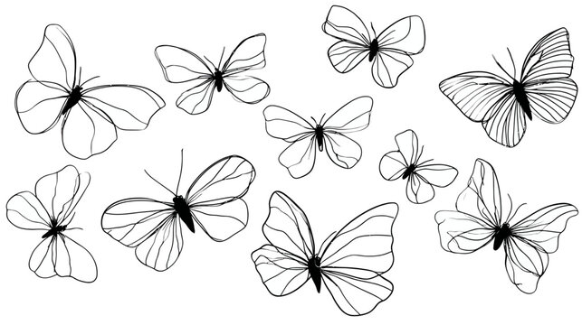 Set of minimalist line art butterflies. Black and white vector illustration with various delicate insect outlines for nature designs.