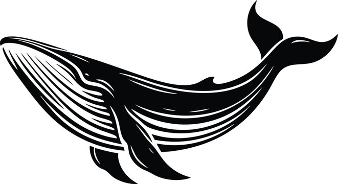 Stylized humpback whale illustration black and white graphic design element for marine life themes isolated on white isolated on white background