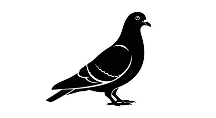 Obraz premium A black silhouette of a pigeon standing on a white background