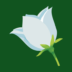 Obraz premium Single white tulip bud with green stem on a dark green background for minimalist nature