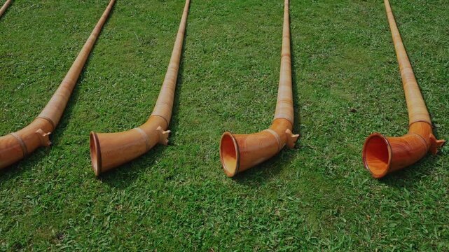 Traditional Swiss Alphorns Displayed on Grass at Festival in Switzerland.Filmed on August 1, 2025.
