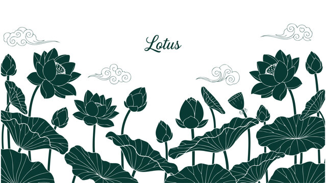 green lotus flowers and leaves on white