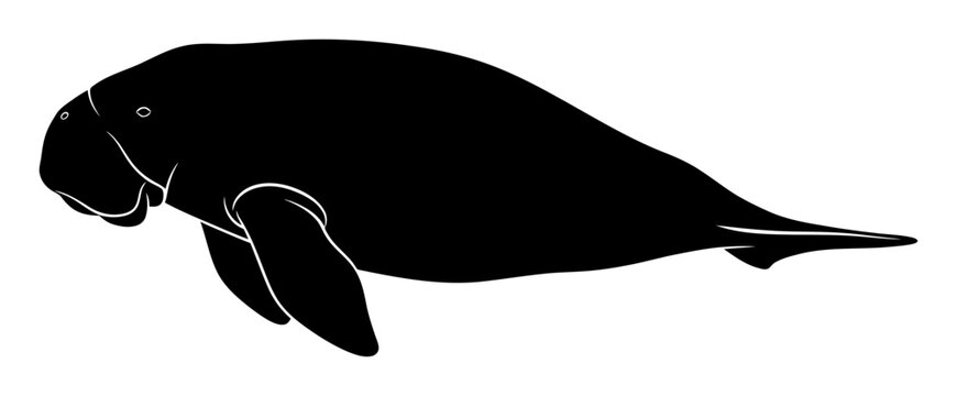 Dugong Silhouette - Minimalist Vector Illustration