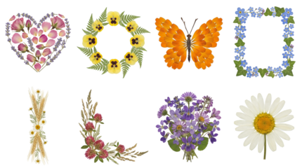 Pressed flower element set including heart, wreath, butterfly, frame, border, and bouquet designs isolated. Spring decoration and botanical craft collection.