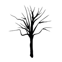 Fototapeta premium Doodle trees. Isolated black and white icons on white background. Spring tree for your design. Vector symbol sign. Plants, landscape design. Eco idea concept.