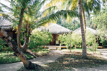 Luxury Beachfront Villa in the Maldives, Tropical Hideaway with White Sand and Palm Trees in Bright Summer Light