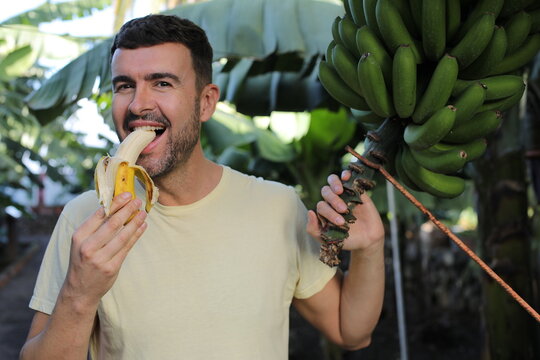 Handsome man eating a banana 