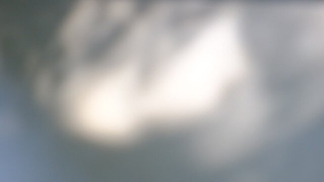 Soft blurred shadows on light grey background. Sunset sunlight, overlay shadow . Minimal style, copy space, template. Elegance aesthetic. Video transition. Presentation, multiple exposure