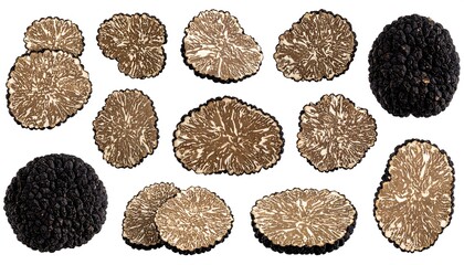 Black truffles and sliced samples on white background for culinary and gourmet themes
