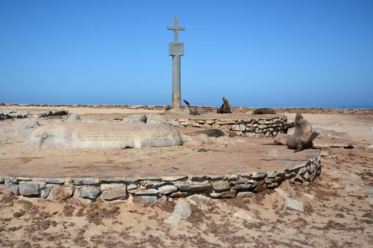 Robben am Kreuz von Cape Cross in Namibia