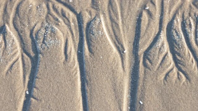 Flowing water and natural patterns in golden beach sand surface