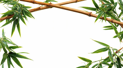 Bamboo plants create a natural frame with green leaves and stems