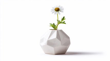 Flower in vase on white background with simple design focus