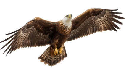 Majestic golden eagle flying PNG isolated on transparent background, powerful bird of prey with...