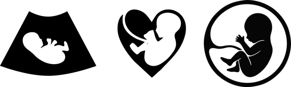 Human Fetus Embryo In Womb Silhouette Icon Set
