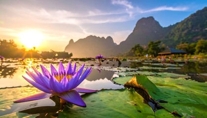 Sunrise illuminates a tranquil lotus pond, mountains rise in the distance