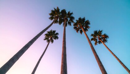 Palm trees reaching purple and blue sunset sky