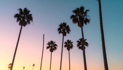 Palm trees silhouetted against a vibrant sunset sky