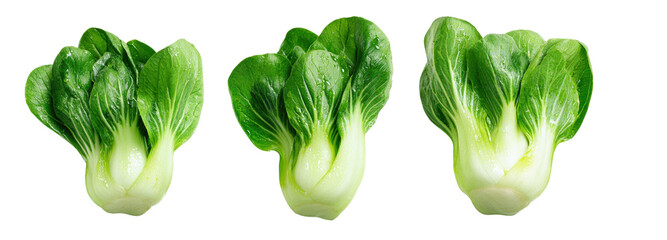 Fresh bok choy harvest farm with transparent background nature