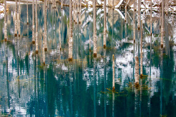 The flooded forest of Lake Kaindy in winter. A beautiful winter mountain landscape in Kazakhstan. A...