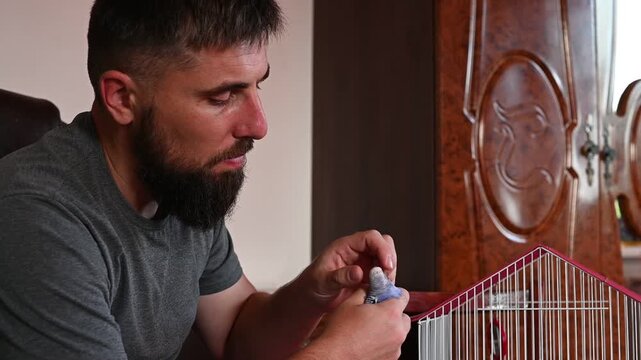 A man with a beard pulled out a parrot from a cage and holds it in his hands, playing with it, a small blue budgie in the hands of a man.