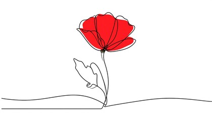 A continuous line drawing of a vibrant red poppy flower on a white background