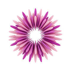 Vibrant purple abstract starburst explosion isolated on transparent background