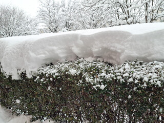 Snow on a winter day. In Romania