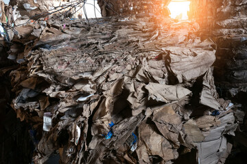 pressed cardboard, recycling and sorting of garbage in the factory