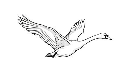 Obraz premium White swan flying with wings spread isolated on a transparent background