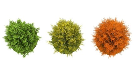 Three distinct spherical topiaries in green, yellow, and orange
