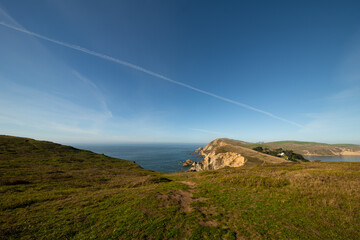 Naklejka premium Chimney Rock in Point Reyes National Seashore, Northern California
