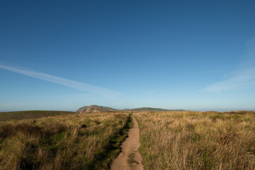 Fototapeta premium Chimney Rock Trail in Point Reyes National Seashore, Northern California