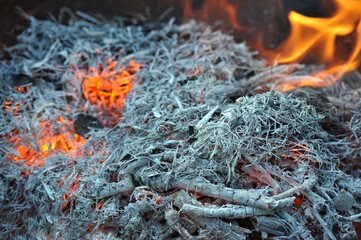 burning and smoldering gray ash close-up