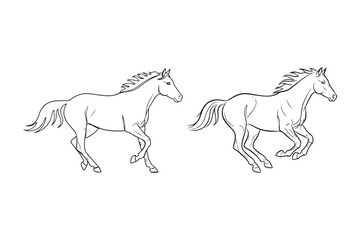 Obraz premium Galloping horses running fast minimalist line art drawing