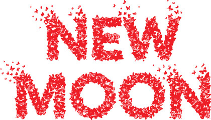 Valentine's day new moon greeting card isolated on transparent background