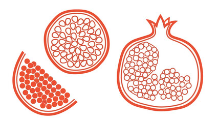 Pomegranate illustrations showcase fruit anatomy with detailed seeds and segmented views