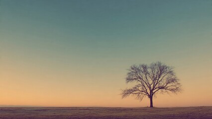 Fototapeta premium Solitary Tree Silhouette Against a Tranquil Sky