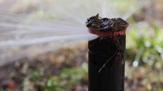 Faulty pop up sprinkler head spewing water uncontrollably. Inefficient irrigation system wasting resources as a result of neglectful upkeep