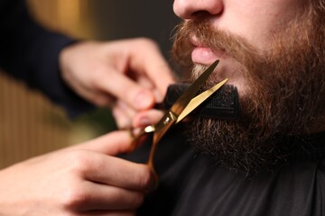Barber trimming man's beard in barbershop, closeup