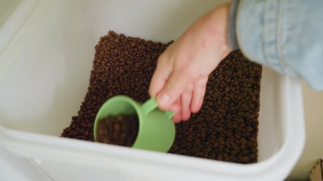 measuring dry kibble from storage bin, person scoops kibble with green cup, closeup of hand, plastic container filled with brown pellets, kitchen counter setting, pet owner preparing precise portion,