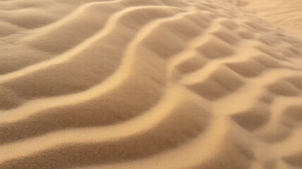 Fototapeta premium Sandy desert landscape features undulating dunes with textured surface and intricate patterns created by sunlight and shadows, showcasing natural beauty and serene environment.