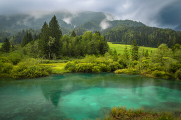 Visit Kranjska Gora in Slovenia to see the clear lake in Zelenci Nature Reserve surrounded by mountains and lush trees. Enjoy the quiet of nature in this travel destination.