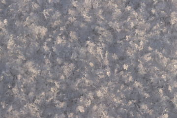 Fototapeta premium White snow with snowflakes sparkling in the sun's rays. Snow-covered flat surface of the lake. Background. Snow in sub-zero weather, snowflakes are clearly visible. Snow background for winter design