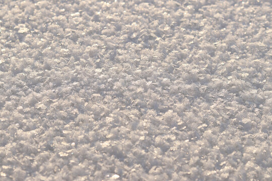 White snow with snowflakes sparkling in the sun's rays. Snow-covered flat surface of the lake. Background. Snow in sub-zero weather, snowflakes are clearly visible. Snow background for winter design