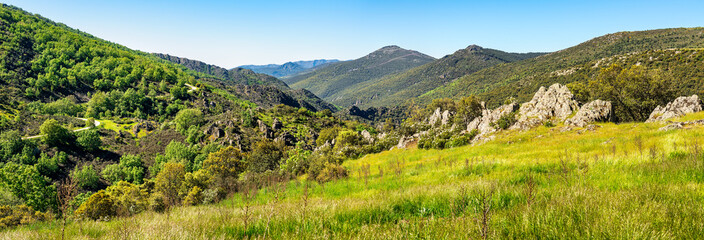 Great panorama of green landscape of mountains and green meadows with flowers in spring, Spain.