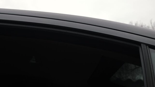 A tree's reflection in a rain-streaked car window. The car's rear window rises and falls, reflecting the trees against the cloudy sky